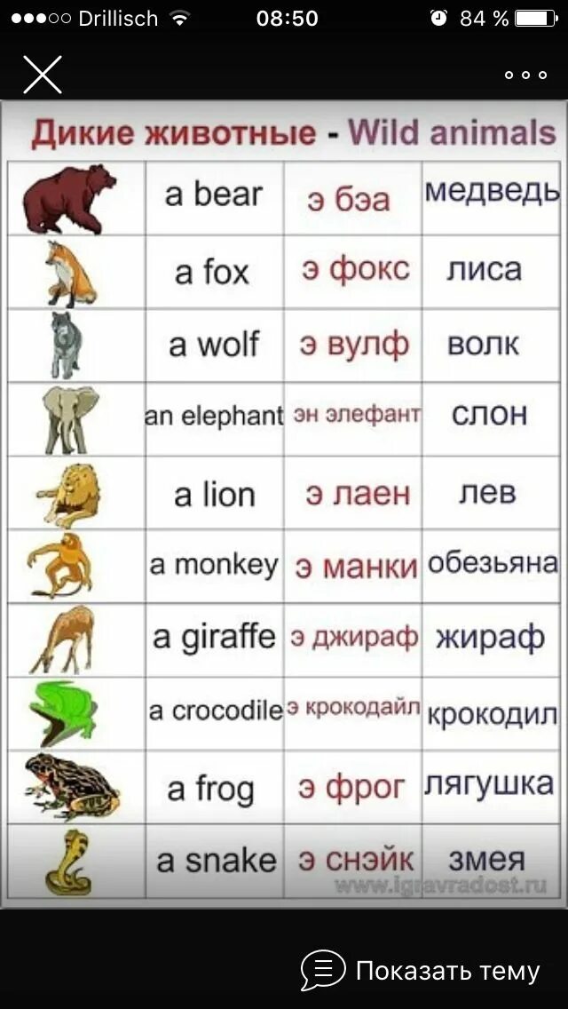 Картинки животных английский язык 2 класс Pin on Bildung Learn english, Russian language learning, English phrases