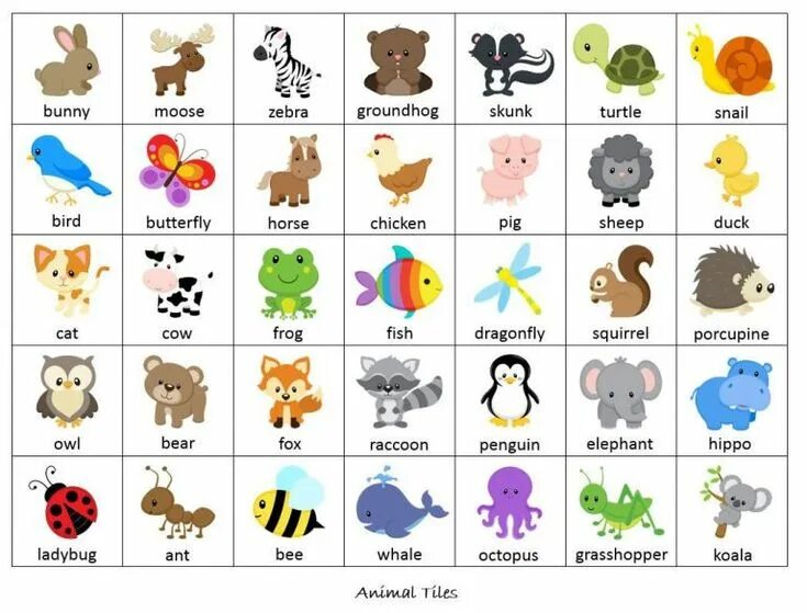 Картинки животных английский язык 2 класс карточки домашние животные Toddler learning activities, Learn japanese, Learning