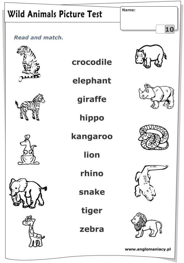Картинки животных английский язык 2 класс Zoo Animals Matching Worksheet 3C3