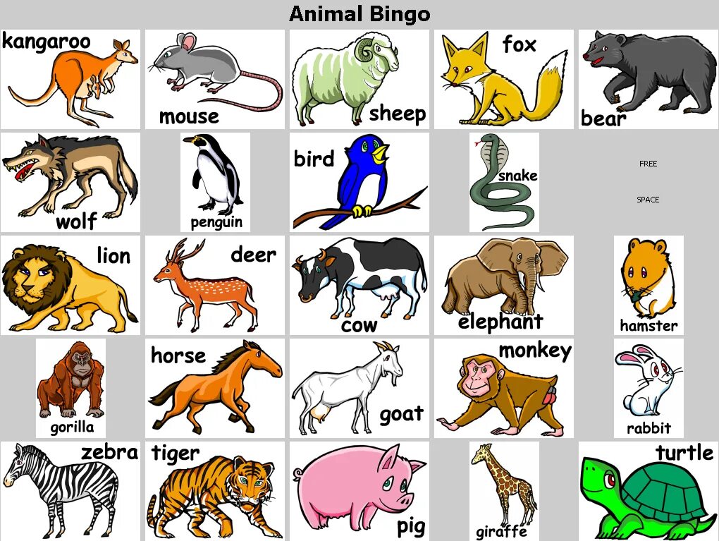 Картинки животных для английского языка Custom Image Bingo Cards Card games for kids, Animals for kids, Flash card games