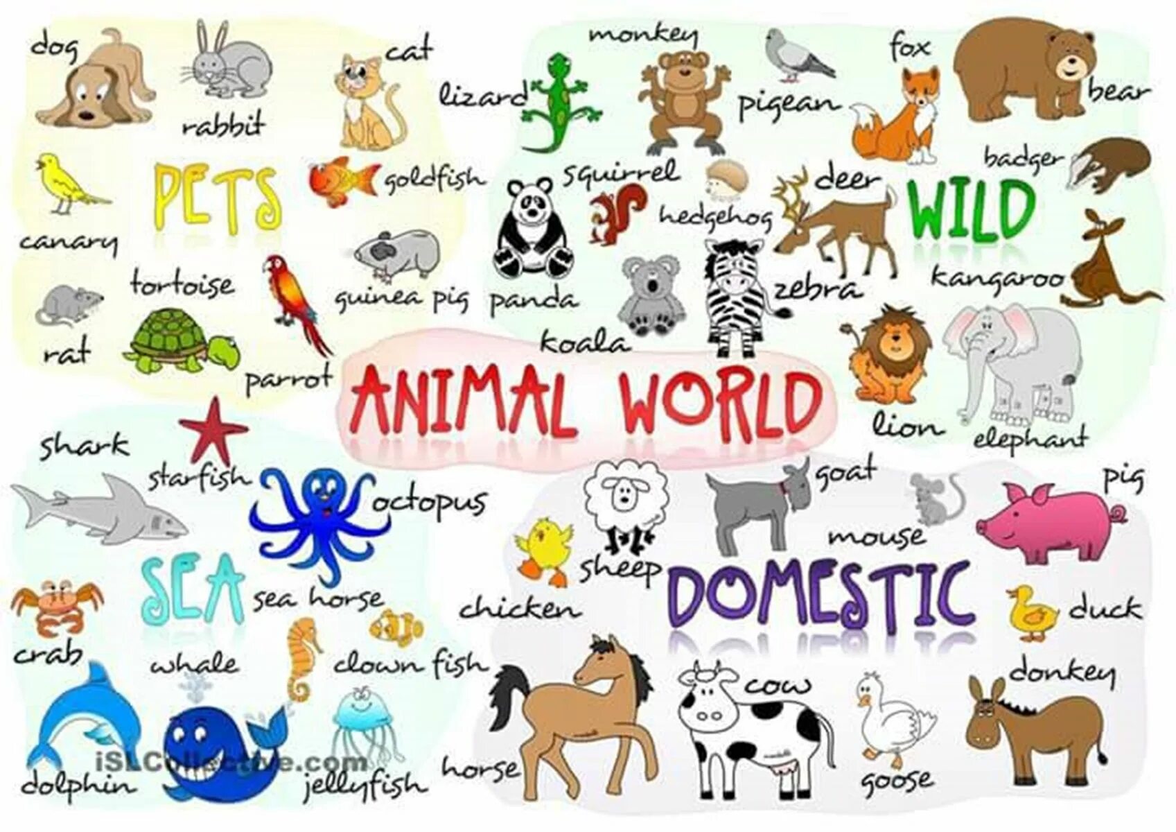 Картинки животных для английского языка Forum - Learn English - Fluent Land Descripcion de animales, Vocabulario español