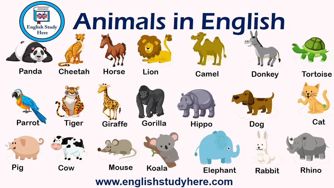 Картинки животных для английского языка English Animals names; Panda Hippo Gorilla Giraffe Tiger Cheetah Horse Lion Came