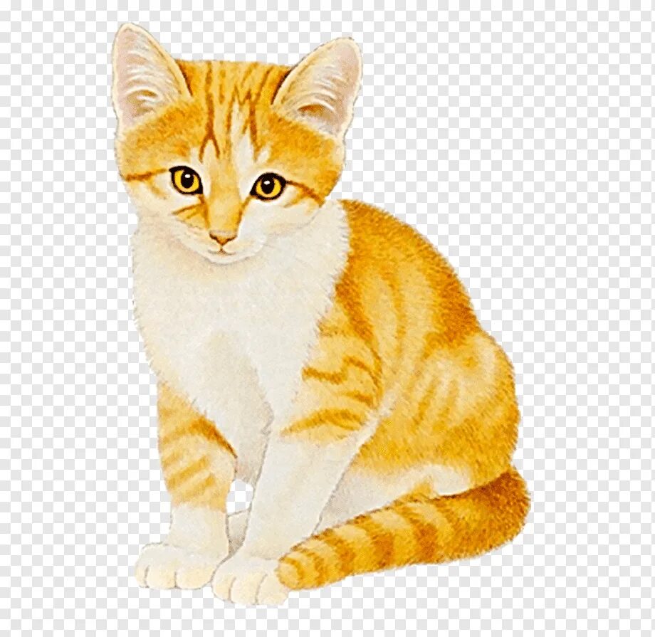 Картинки животных для детей кошка Yellow cat, cartoon, cartoon cat, lucky cat cartoon png PNGWing