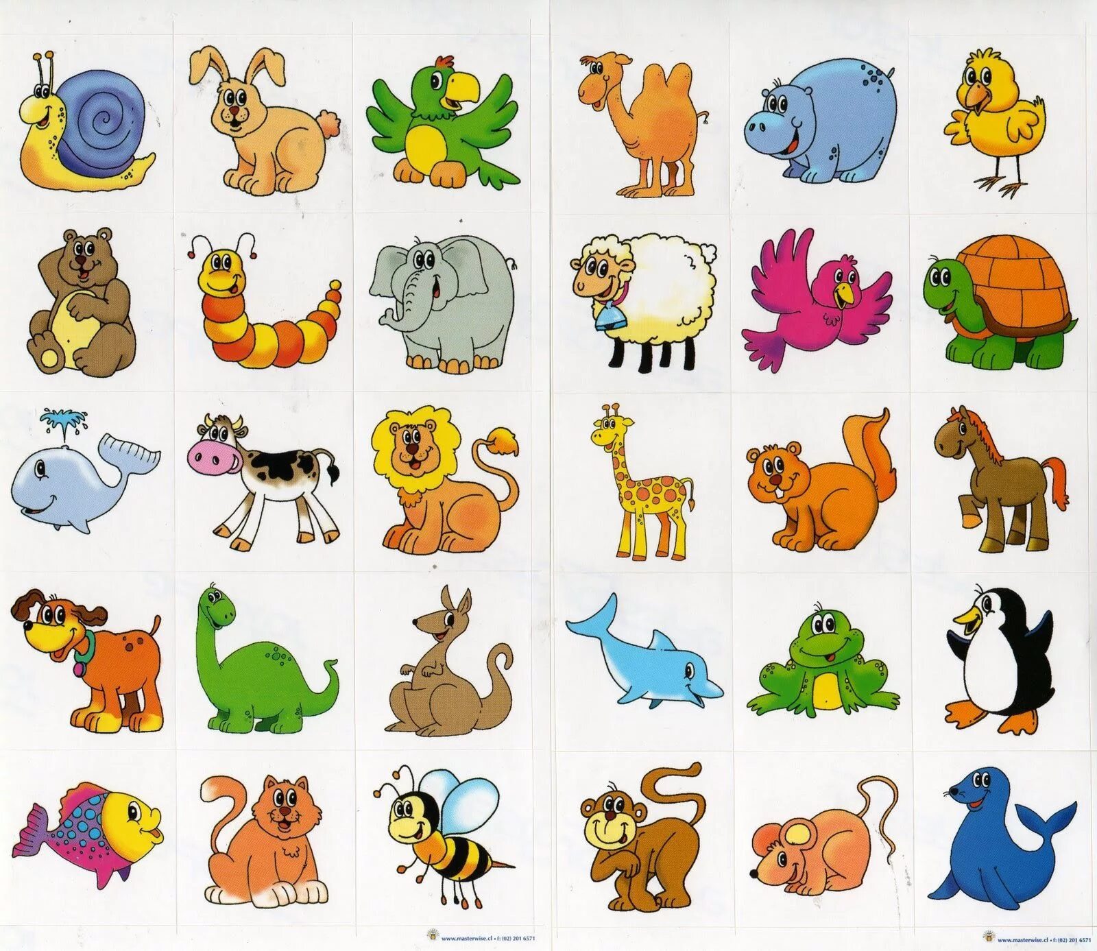 Картинки животных для малышей цветные Pin Secretos Imagenes De Animales Para Escribir Palabras Picture To Projeto anim