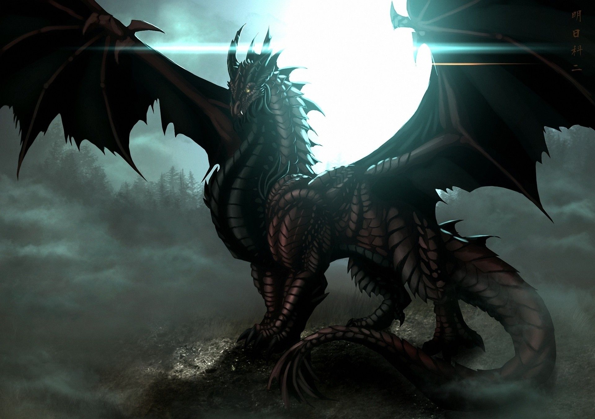 Картинки животных дракон Fantasy Drachen Wallpaper 1920x1352 Dragon images, Fantasy dragon, Dragon pictur