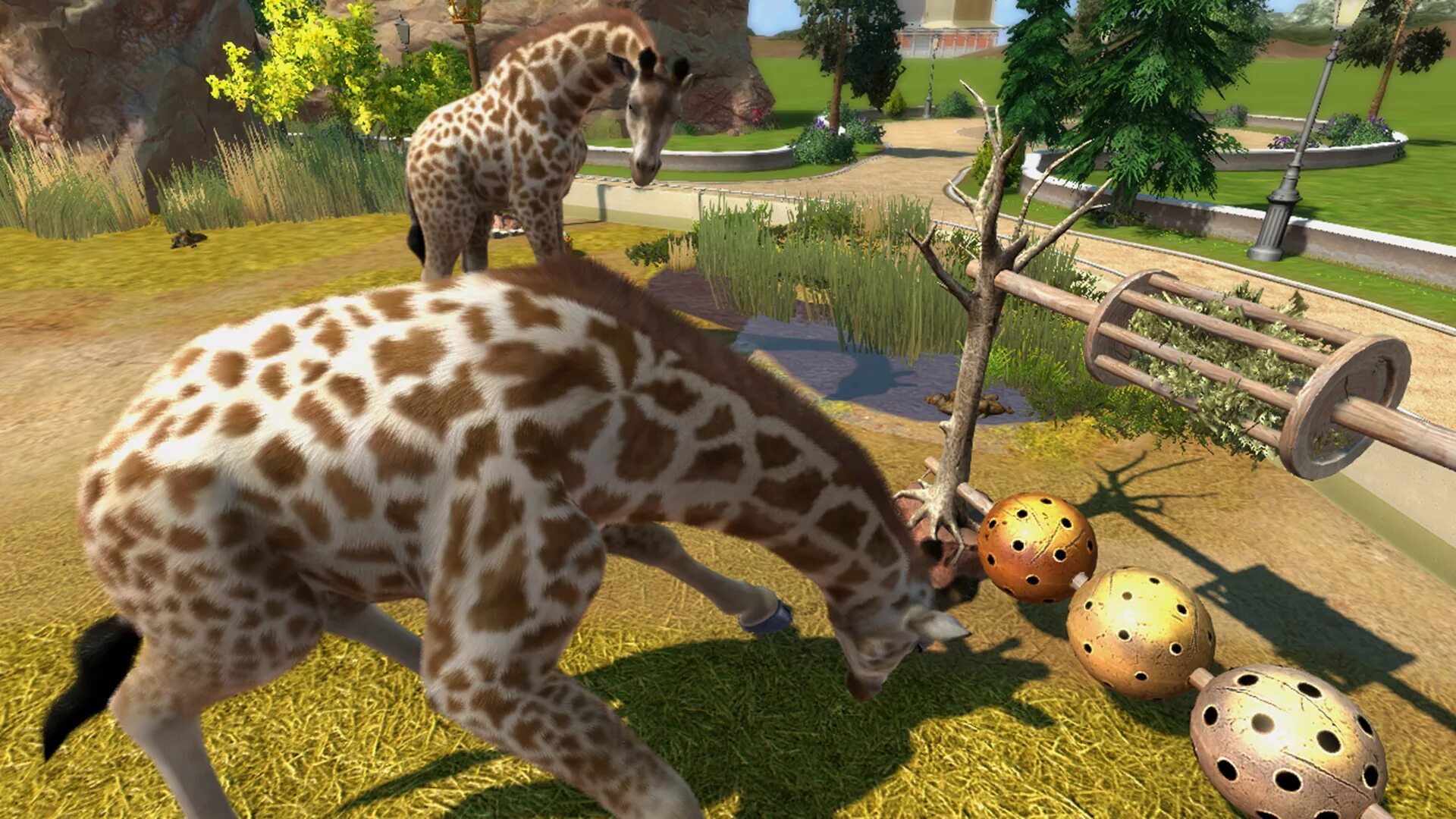 Картинки животных играть Zoo Tycoon (2013) - гайды, новости, статьи, обзоры, трейлеры, секреты Zoo Tycoon