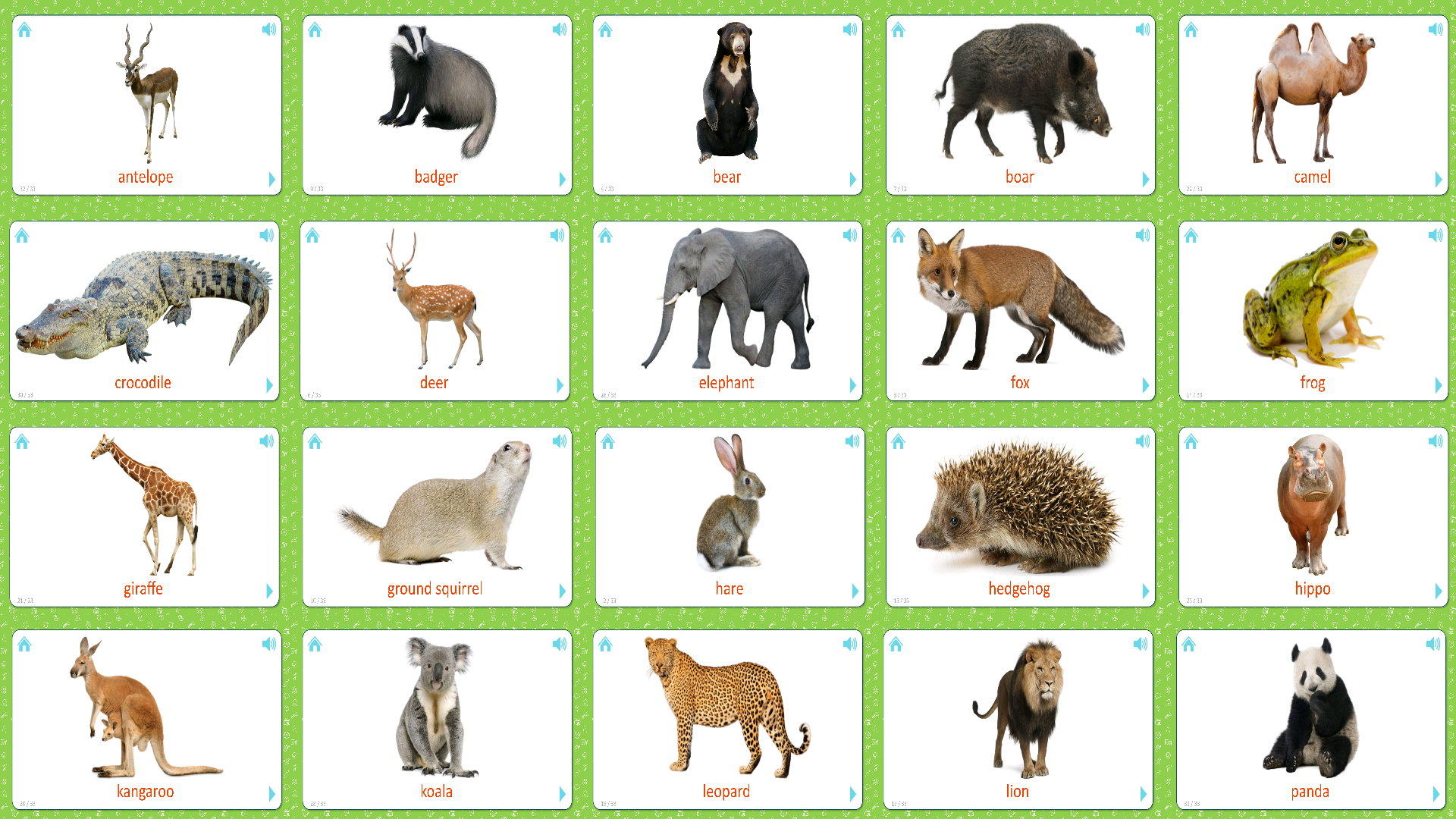 Картинки животных карточки Wild Animals (17 Cards - Part 2) Flashcards for Kids Flashcards for kids, Animal