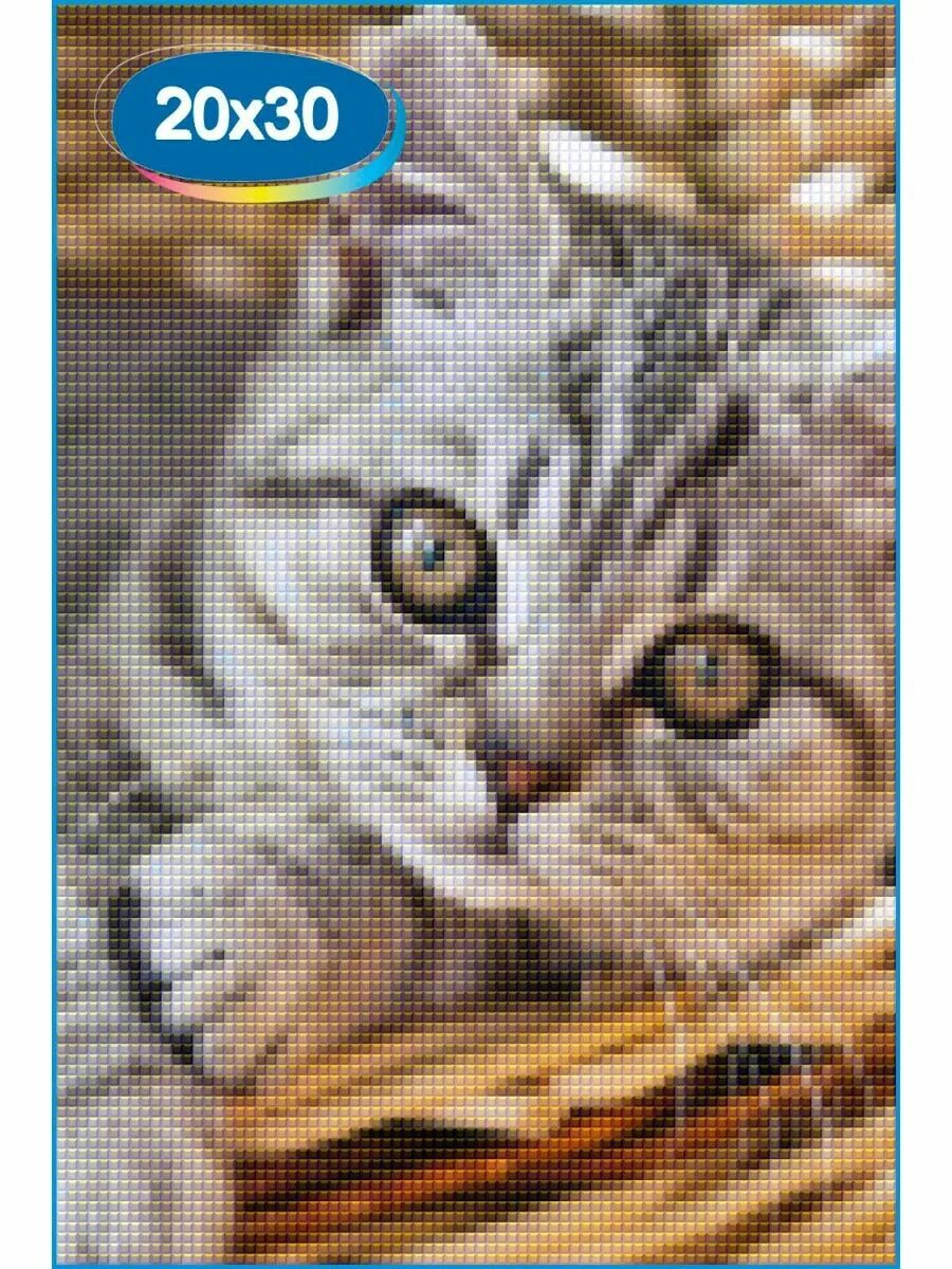 Картинки животных котики Алмазная мозаика кошки, животные Алмазная фея 106290047 купить за 425 ₽ в интерн