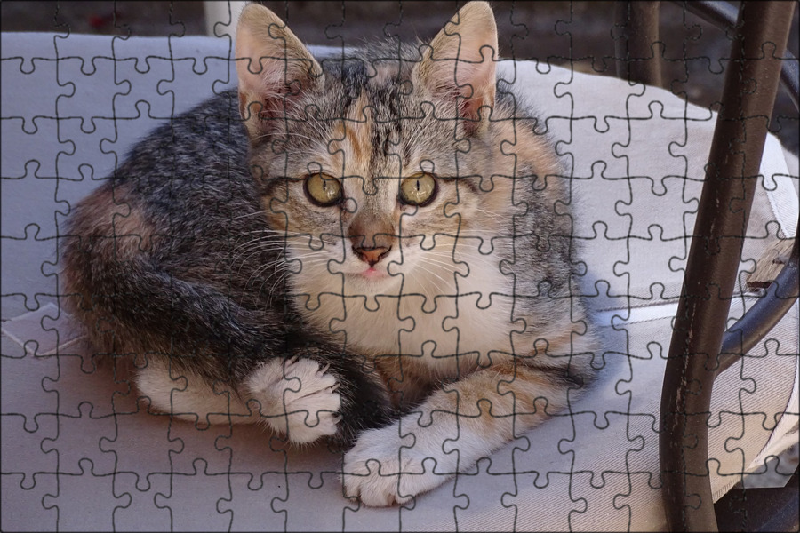 Картинки животных котики Магнитный пазл 27x18см."Щенок, котенок, животные" на холодильник - купить в инте