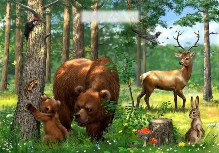 Картинки животных леса детский Рина З. - На полянке Tiere zeichnen, Tiere, Gemälde
