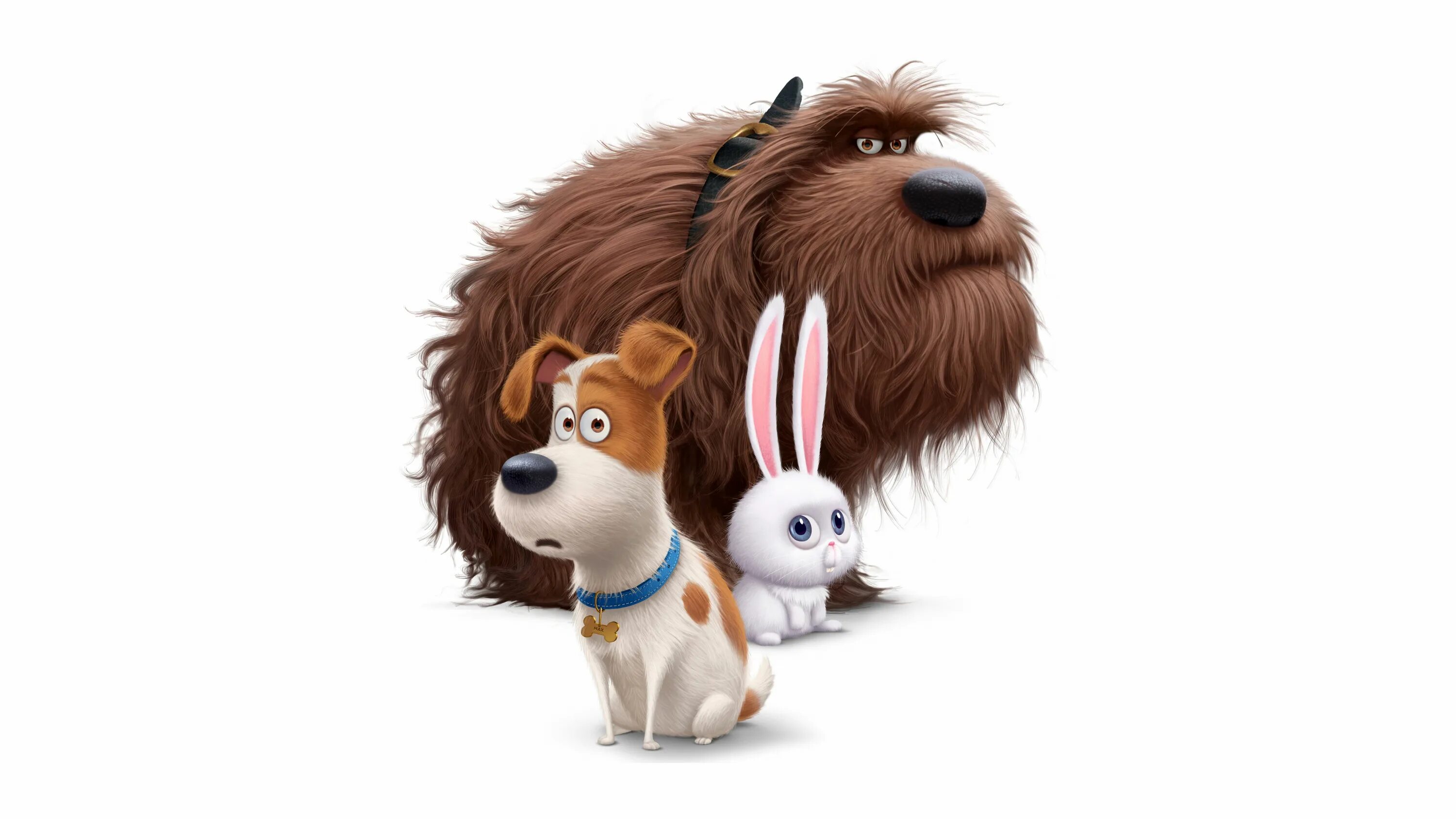 Картинки животных мультфильм #Snowball The Secret Life Of Pets #Animation #Duke #Max #8K #8K #wallpaper #hdwa