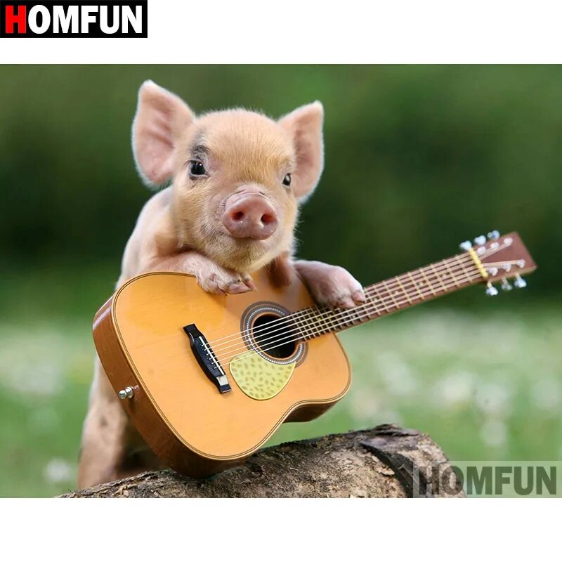 Картинки животных музыкальные HOMFUN 5D DIY Diamond Painting Full Square/Round Drill "Guitar pig" Embroidery C