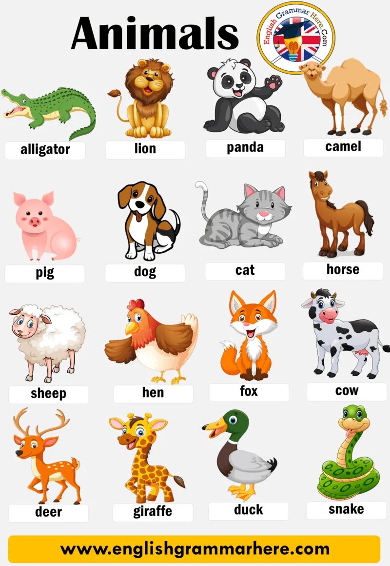 Картинки животных на английском Animal Names, List of Animals in English Table of Contents ANIMALS IN ENGLISHDom