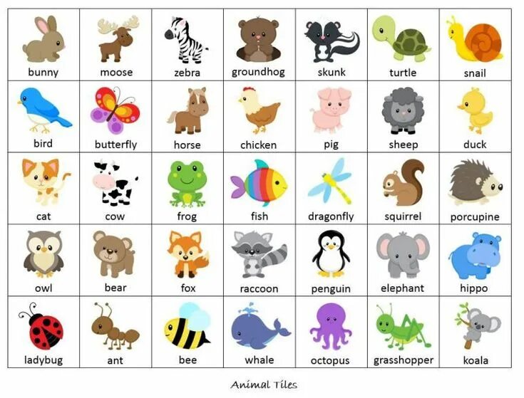 Картинки животных на английском карточки домашние животные Toddler learning activities, Learn japanese, Learning