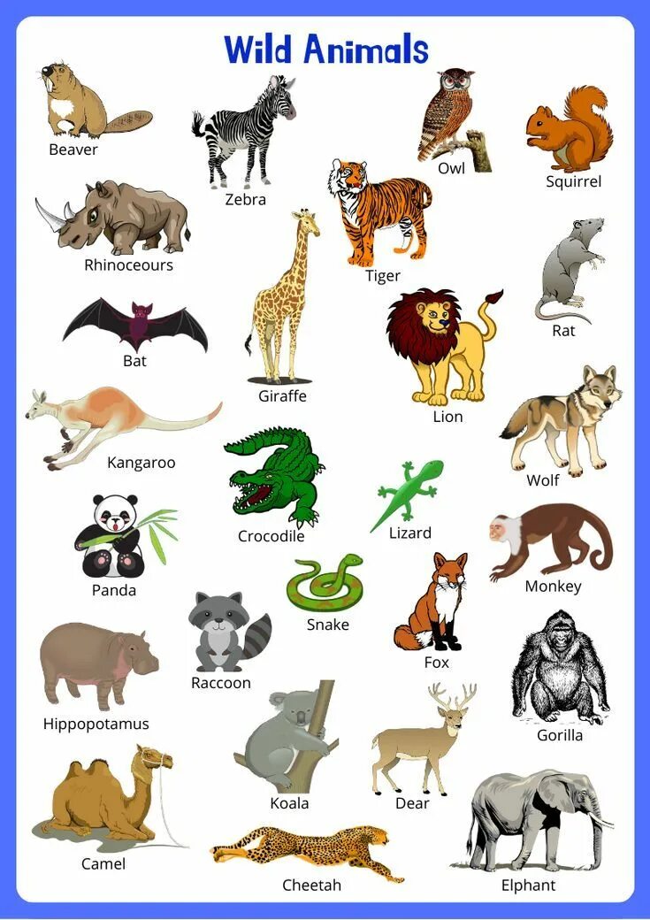 Картинки животных на английском Here You'll Find Wild And Farm Animals Vocabulary Mat. Also, Their 8D1 English l