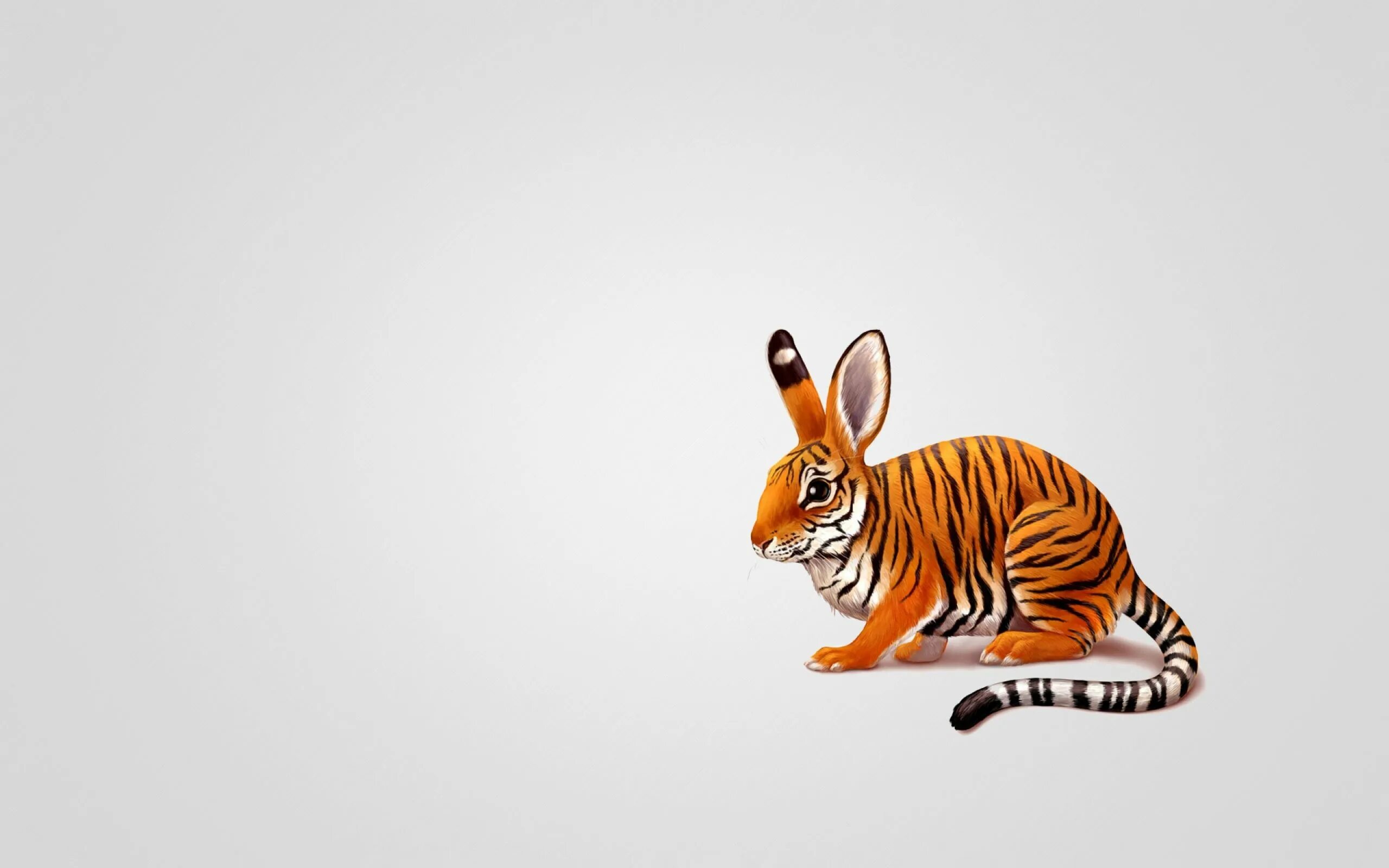 Картинки животных на фон tiger rabbit - Pesquisa Google Pet tiger, Rabbit wallpaper, Tiger and bunny