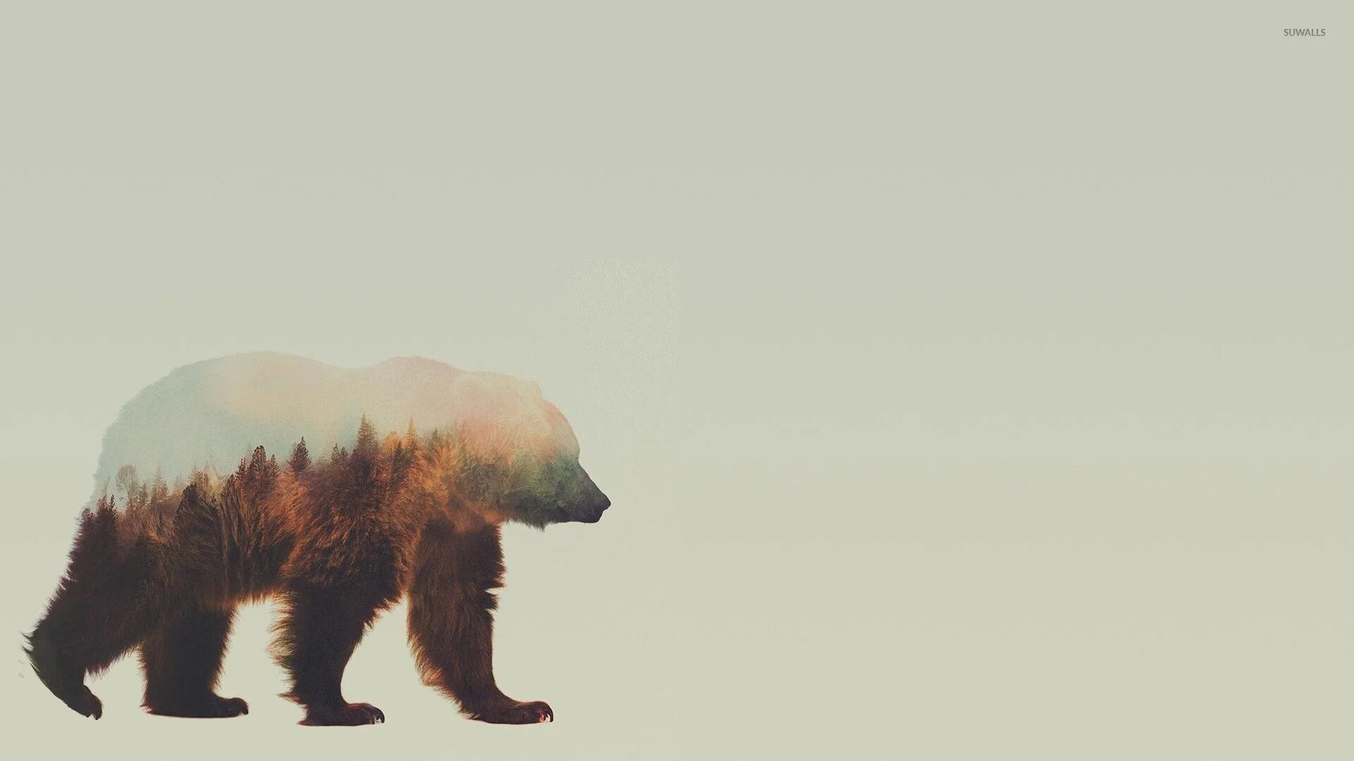 Картинки животных на фон Bear Art Wallpapers Hd Bear art, Graphic art print, Canvas art prints