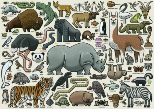 Картинки животных пазлы Wild Animals 1000 Piece Jigsaw Puzzle by Ravensburger for sale online eBay