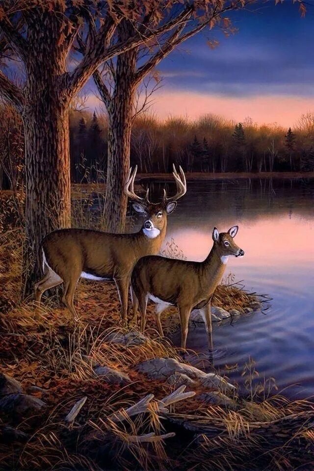 Картинки животных пейзажи Fall Moments Wildlife paintings, Deer painting, Deer artwork