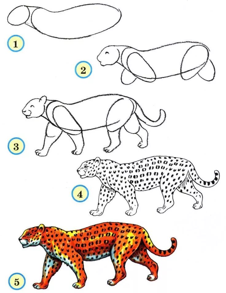 Картинки животных поэтапно 11.Учимся рисовать животных Leopard drawing, Animal drawings, Easy drawings