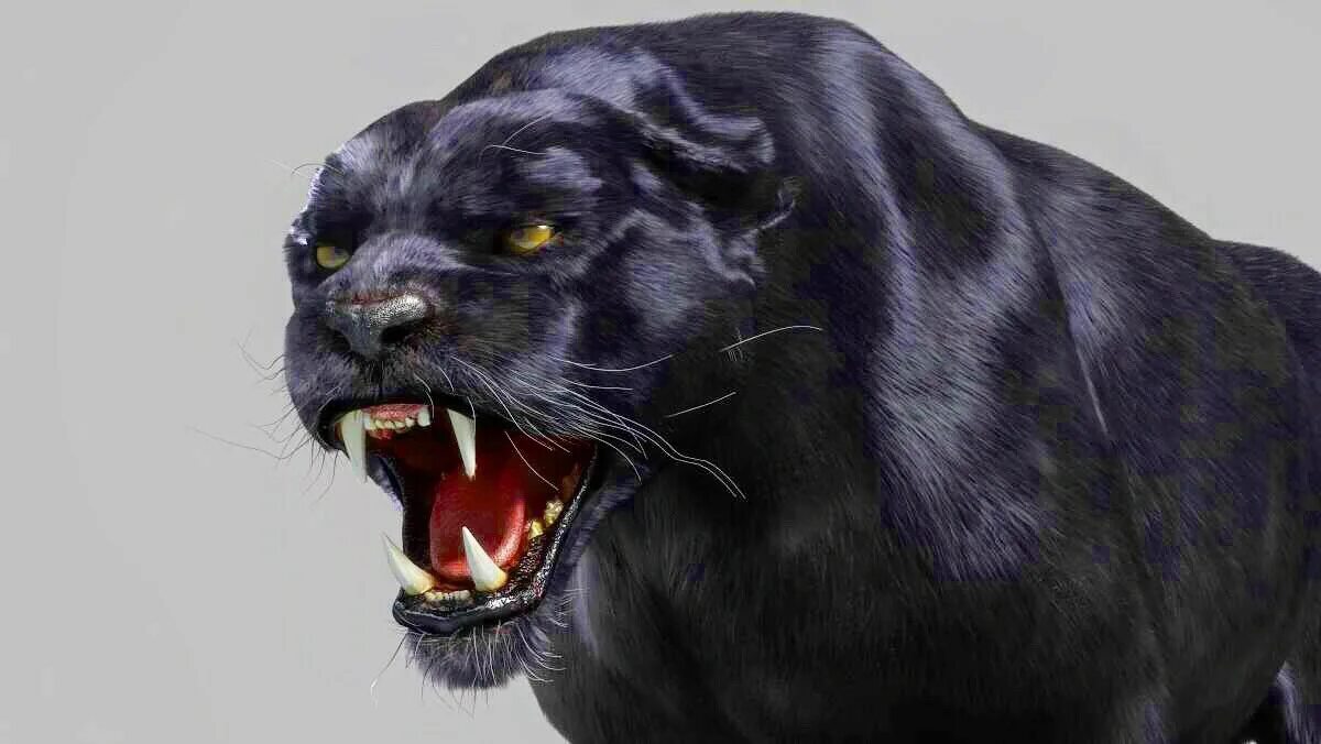 Картинки злых животных ArtStation - Panther 3D Model