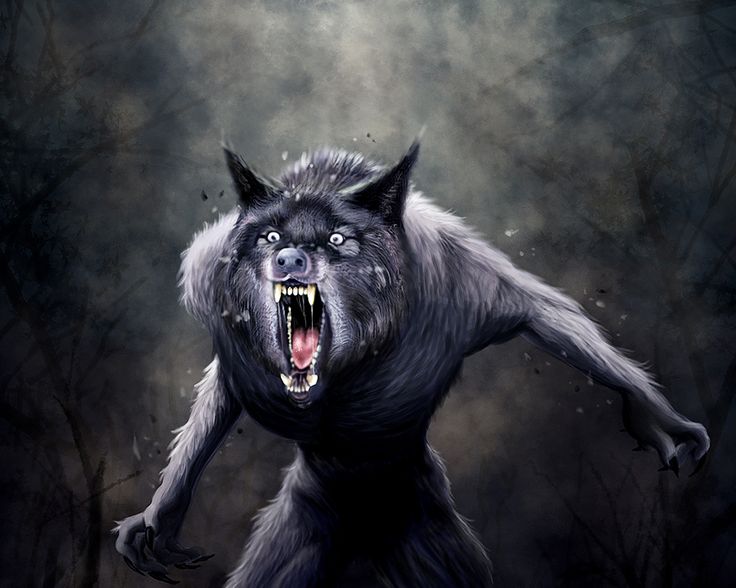 Картинки злых животных Dark Werewolf Werewolf art, Werewolf, Mythical creatures