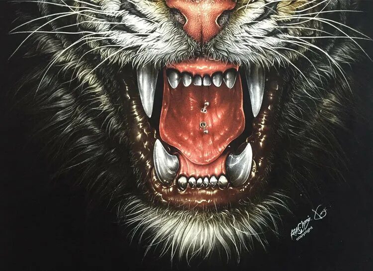 Картинки злых животных T-Shirt Rock Chang Grin Of A Tiger