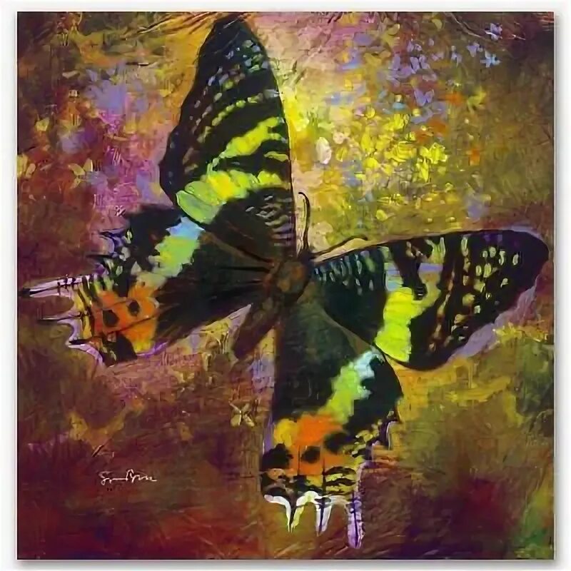 Картины бабочек фото Simon Bull Limited Edition "Amazing Grace" Giclee on Canvas eBay