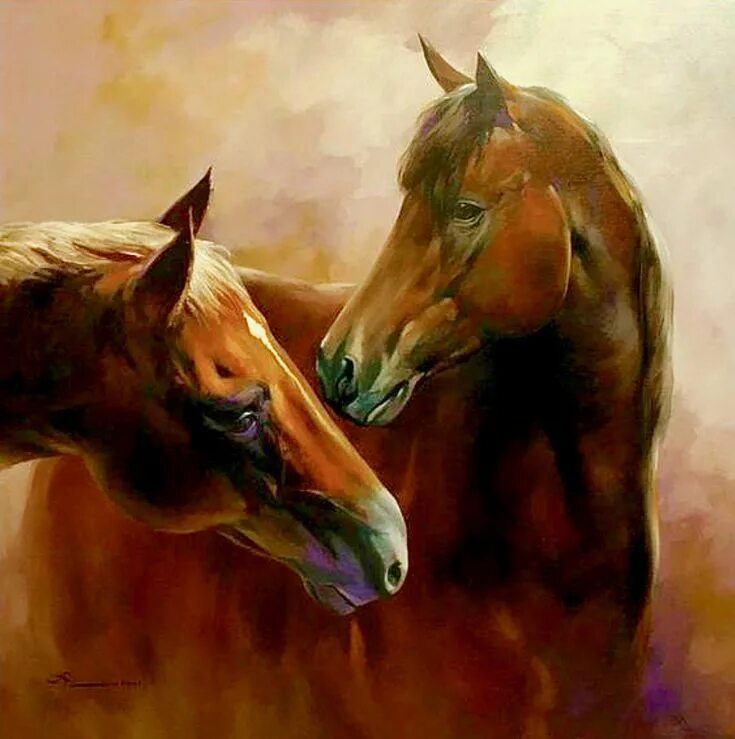 Картины лошадей фото Chevaux Horse oil painting, Horse painting, Horse drawings