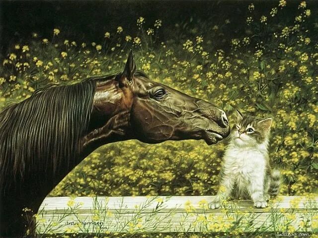 Картины животных фото Painting Lesley Harrison Horses, Horse oil painting, Animal painter