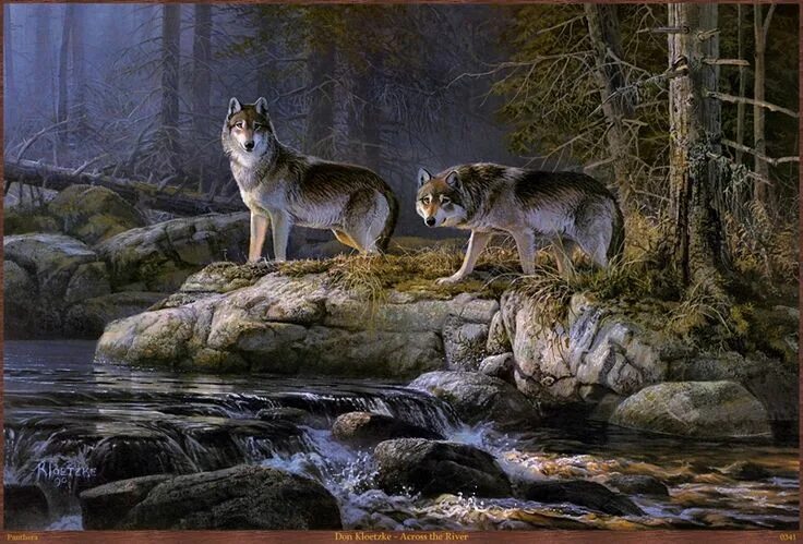 Картины животных фото 12.0US $ A0440 HD Original prints oil paintings on canvas Don Kloetzke Across th