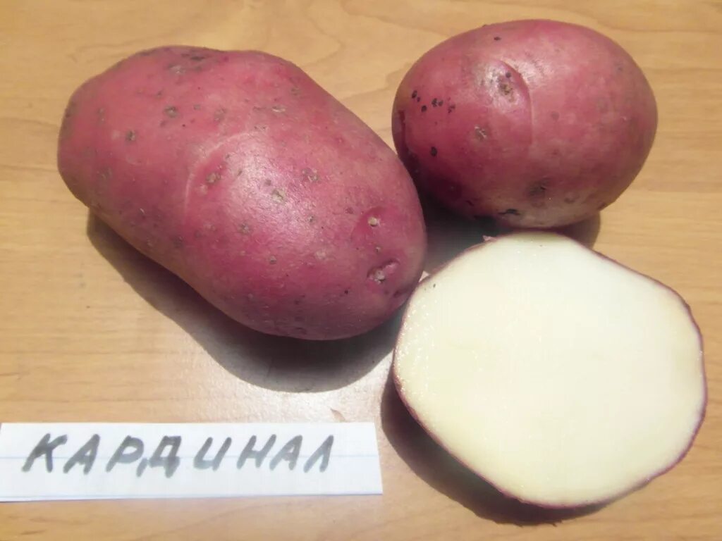 Картофель аляска описание сорта фото отзывы Описание и фото сорта картофеля Нандина Натуралист Фотогалерея природы на dia-lo