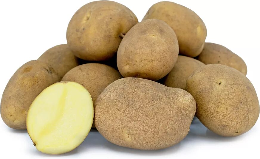 Картофель бамба описание сорта фото отзывы Sierra Gold Potatoes Information and Facts