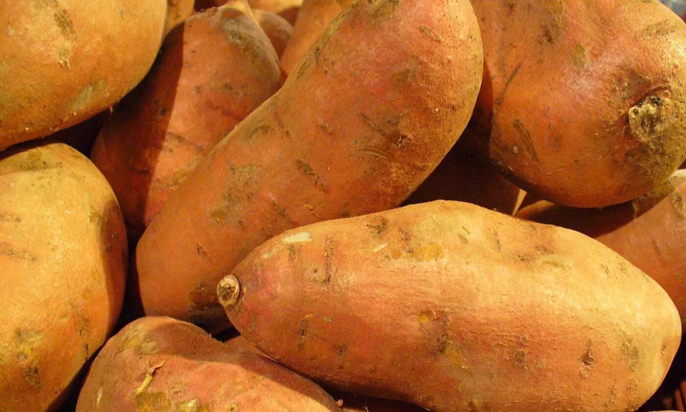 Картофель батат фото Sweet potato, raw (sweet potato, white potato) Foundation G+E