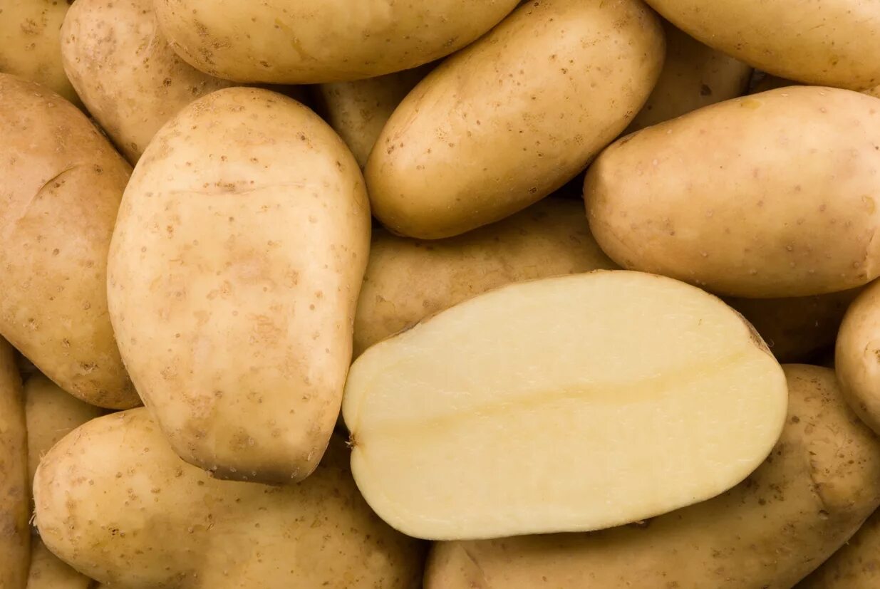 Картофель бельмондо описание сорта фото отзывы potato - Eletreby Group