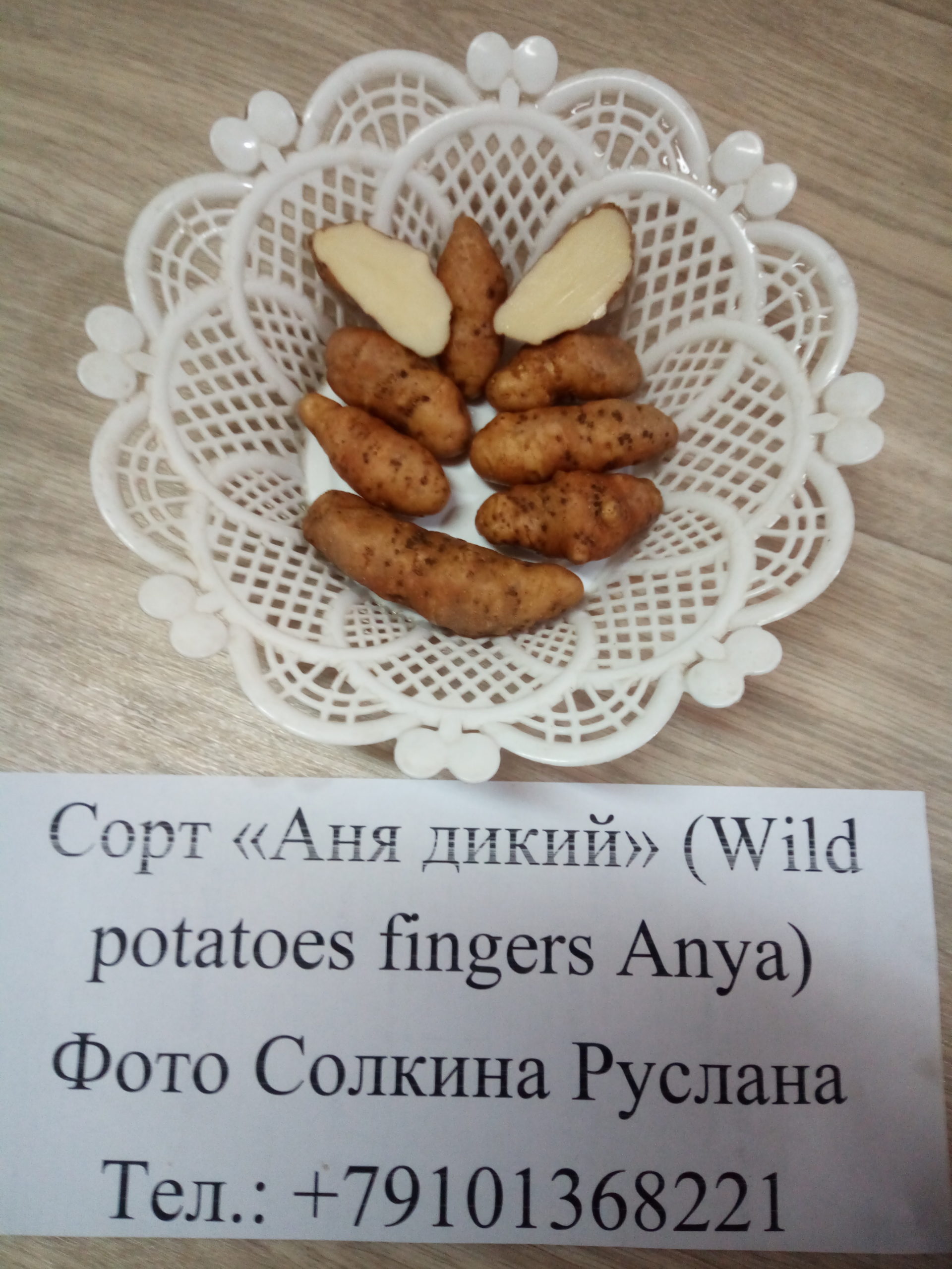 Картофель дикий аня описание сорта фото Аня дикий (Wild potatoes fingers Anya) - Картофель России