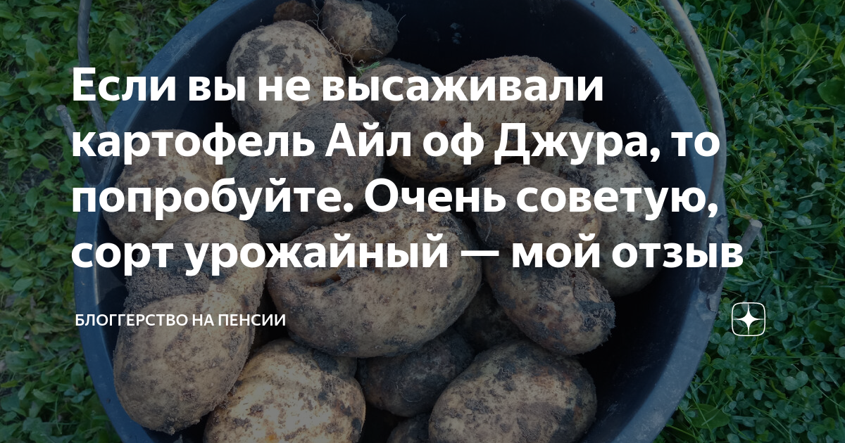 Картофель джура описание сорта фото отзывы Если вы не высаживали картофель Айл оф Джура, то попробуйте. Очень советую, сорт