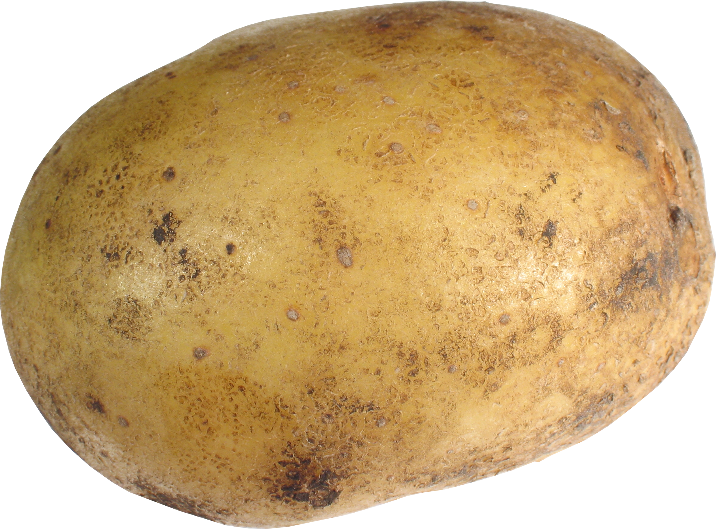 Картофель фото для детей Potato Potatoes, Different types of vegetables, Kids vegetables