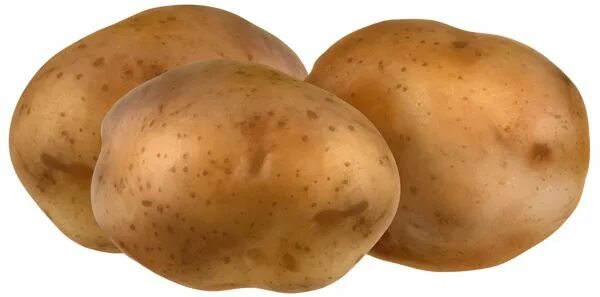 Картофель фото для детей Potatoes Transparent PNG Clip Art Image Clip art, Potatoes, Art images