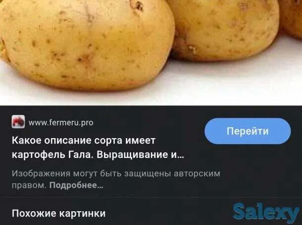 Картофель гала характеристика вкусовые качества фото Продам картофель КХ реализует.Продам картофель. Сорт гала.лучшая,обалденная,вкус