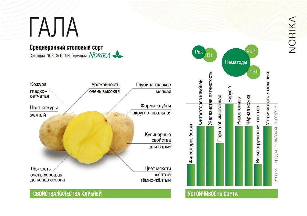 Картофель гала характеристика вкусовые качества фото Картошка описание eCookie.ru