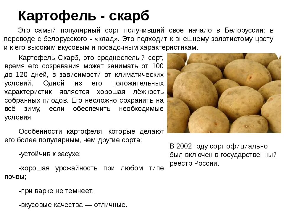 Картофель гала характеристика вкусовые качества фото Сорта картофеля для сибири: фото с названием и описанием, новые вкусные виды с в