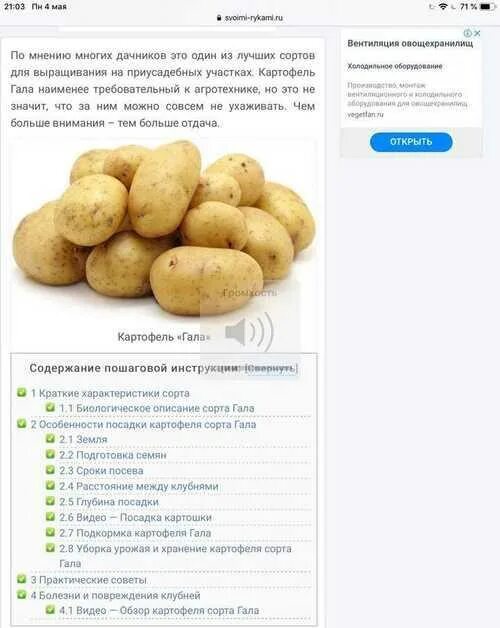 Картофель гала описание сорта фото отзывы сроки Картофель гала описание характеристики фото