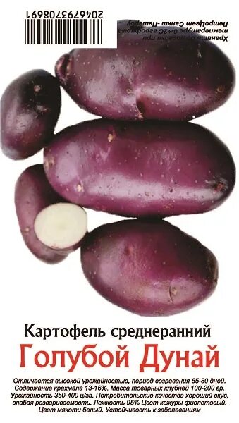 Картофель голубой дунай фото КАРТОФЕЛЬ (10шт) ГОЛУБОЙ ДУНАЙ СуперЭлита /мякоть белая/Пакет - Sbor Market