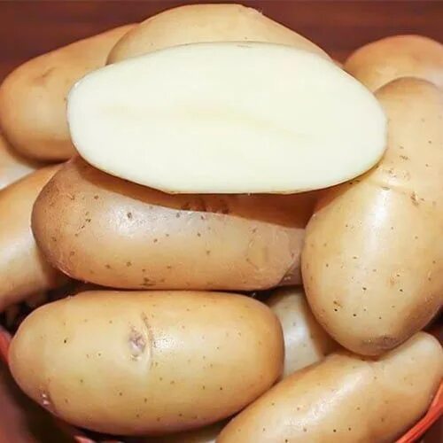 Картофель гулливер описание фото отзывы Клубни Картофель купить по выгодной цене в интернет-магазине OZON (1050753393)