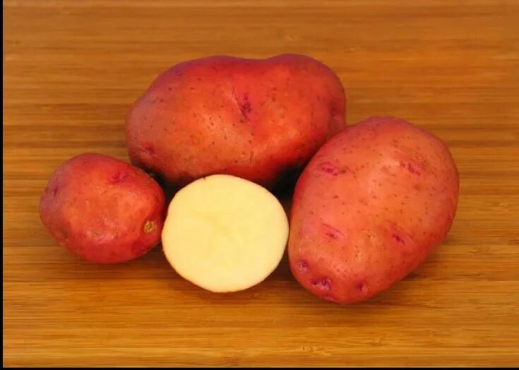 Картофель кардинал фото Red Potatoes "There are more than 5,000 varieties of potatoes on the planet, and