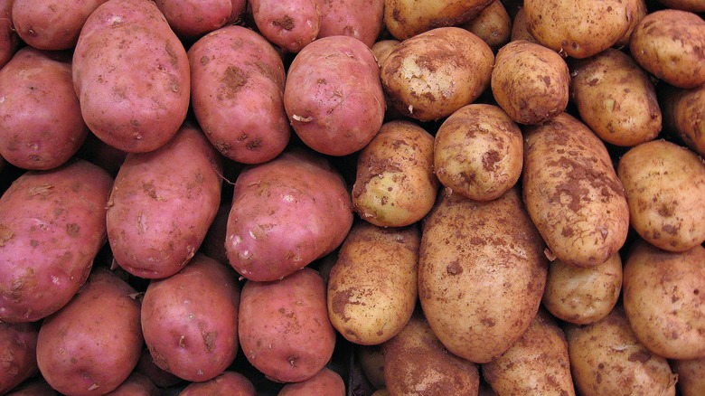 Картофель кардинал фото FDA Says OK To GMO Potatoes - Food Republic