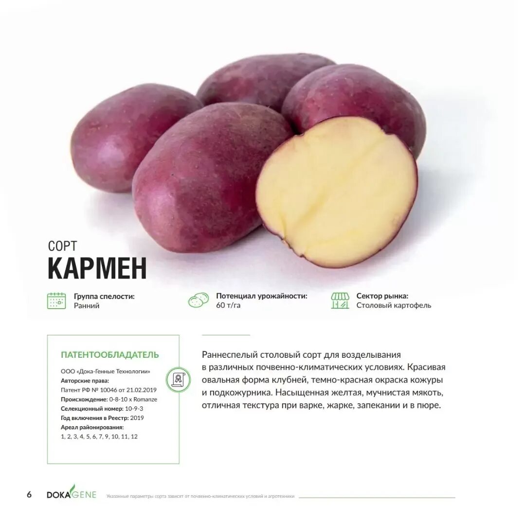 Картофель кармен отзывы фото Картофель кармен описание сорта - Roleton.ru