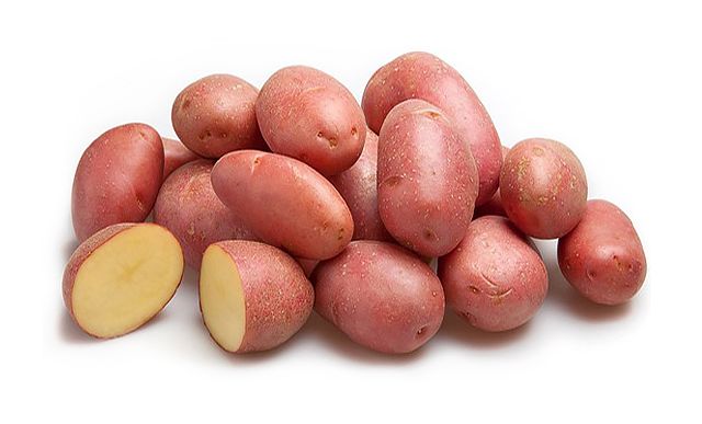Картофель кармен отзывы фото Элитные сорта картофеля в беларуси in 2024 Potatoes