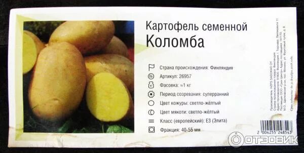 Картофель коломбо описание сорта фото Отзыв о Картофель семенной HZPS SADOKAS OY "Коломба" Финляндия Сорт достоин того